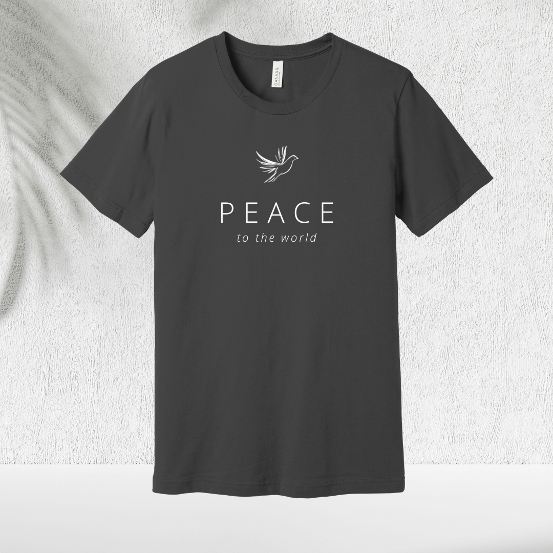 T-Shirt Asphalt / S Peaceflight T-Shirt